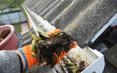 How To Clean Gutters and Why It’s Important