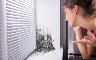 4 Strategies to Prevent Mold Growth in the Home
